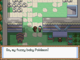 Go, my fuzzy baby Pokémon!