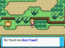 Aki found a Root Fossil.