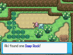 Aki found a Damp Rock.