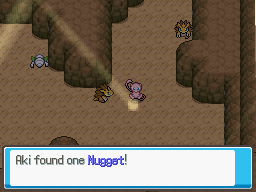 Aki found a Nugget.