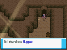 Aki found a Nugget.