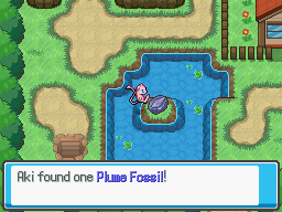 Aki found a Plume Fossil.