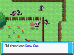 Aki found a Rock Gem.