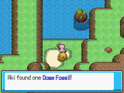 Aki found a Dome Fossil.