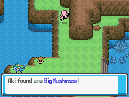 Aki found a Big Mushroom.