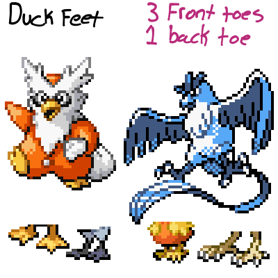 On the left is a sprite of Delibird is labelled Duck Feet. Two more sets of disembodied feet appear below it that are recognizably belonging to ducks. On the right is a sprite of Articuno, labelled 3 front toes 1 back toe. Beneath is are two more examples of the same kind of feet from other sprites.